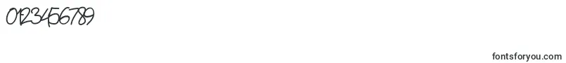Pw01script Font – Fonts for Numbers and Digits