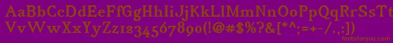 IrianisadfstdBold.ttc Font – Brown Fonts on Purple Background