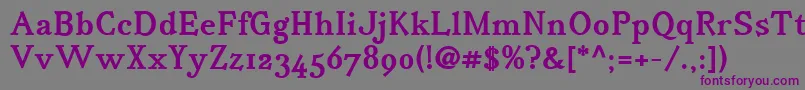 IrianisadfstdBold.ttc Font – Purple Fonts on Gray Background