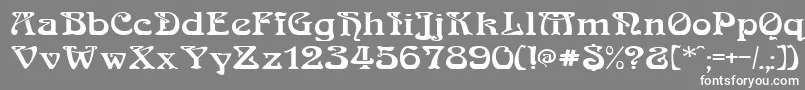 フォントMedusa – 灰色の背景に白い文字