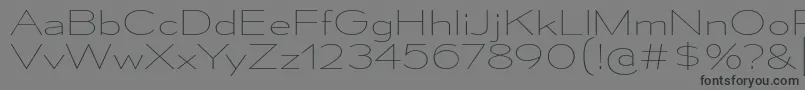 フォントMesmerizeExUl – 黒い文字の灰色の背景