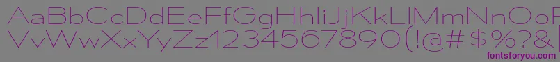 Шрифт MesmerizeExUl – фиолетовые шрифты на сером фоне