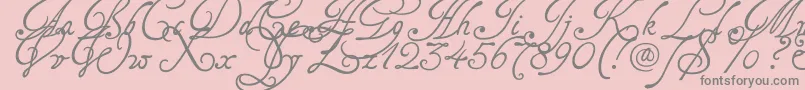 Tagetts2U Font – Gray Fonts on Pink Background