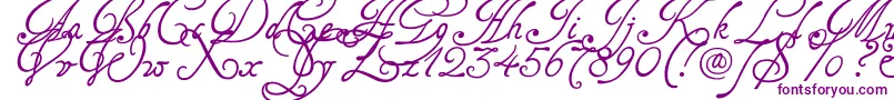 Tagetts2U Font – Purple Fonts on White Background