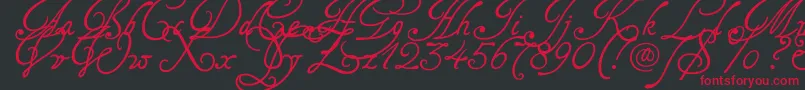 Tagetts2U Font – Red Fonts on Black Background