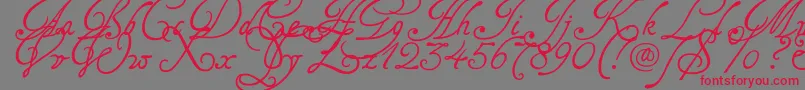 Tagetts2U-Schriftart – Rote Schriften auf grauem Hintergrund