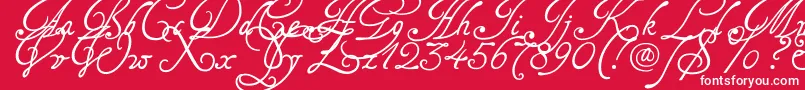 Tagetts2U Font – White Fonts on Red Background