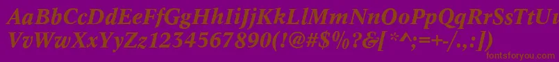 Шрифт ConceptMediumitalic – коричневые шрифты на фиолетовом фоне