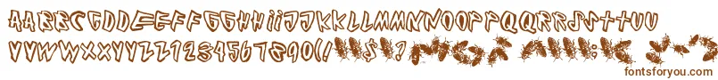 Cockroach Font – Brown Fonts on White Background