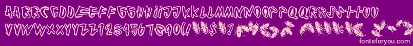 Cockroach Font – Pink Fonts on Purple Background