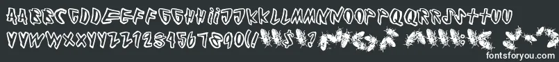 Cockroach Font – White Fonts on Black Background