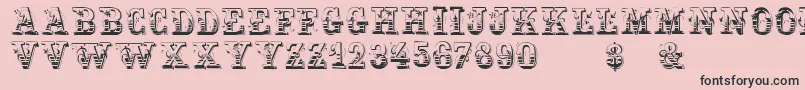 Holtzschue Font – Black Fonts on Pink Background