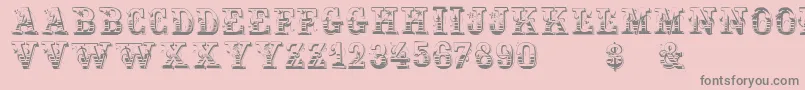 Holtzschue Font – Gray Fonts on Pink Background