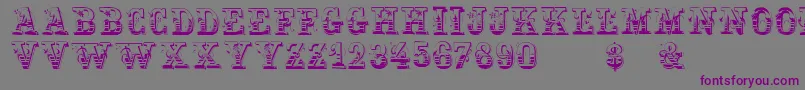 Holtzschue Font – Purple Fonts on Gray Background