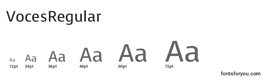 VocesRegular Font Sizes