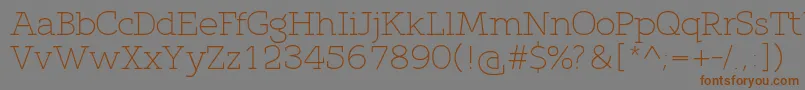 QlarendonLight Font – Brown Fonts on Gray Background