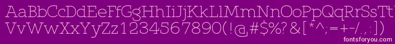 QlarendonLight Font – Pink Fonts on Purple Background