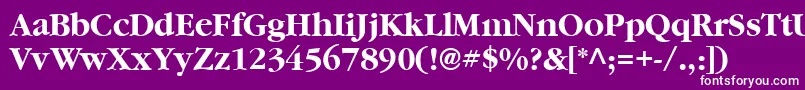 フォントVaniel3Bold – 紫の背景に白い文字