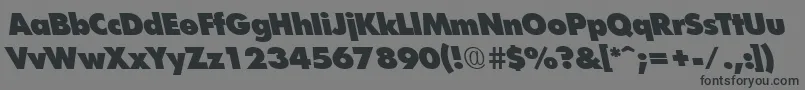 FuturistleftyxheavyRegular Font – Black Fonts on Gray Background