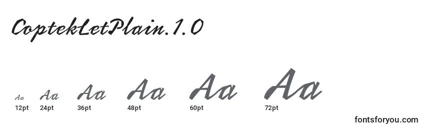CoptekLetPlain.1.0 Font Sizes