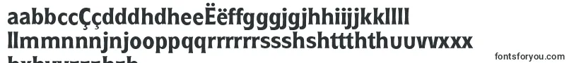Czcionka RoundestserialBold – czcionki n'yanja