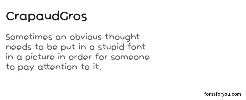 Review of the CrapaudGros (97811) Font