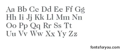 Review of the ItcCaslon224LtMedium Font