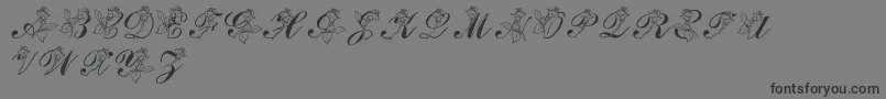 LmsRose Font – Black Fonts on Gray Background