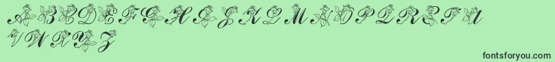 LmsRose Font – Black Fonts on Green Background