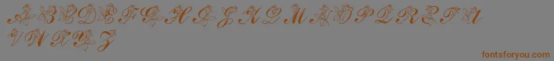 LmsRoseフォントについての詳細 フォントLmsRose – 茶色の文字が灰色の背景にあります。