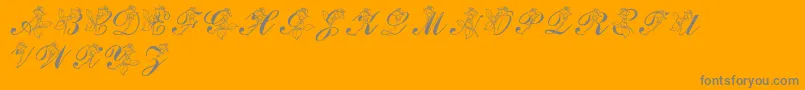 LmsRose Font – Gray Fonts on Orange Background