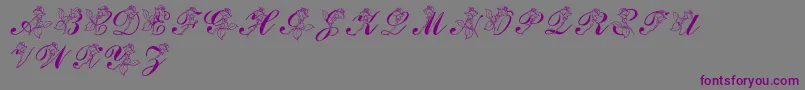 フォントLmsRose – 紫色のフォント、灰色の背景