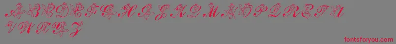 LmsRose Font – Red Fonts on Gray Background