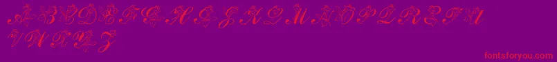 LmsRose Font – Red Fonts on Purple Background