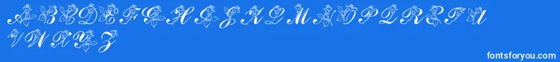 LmsRose Font – White Fonts on Blue Background