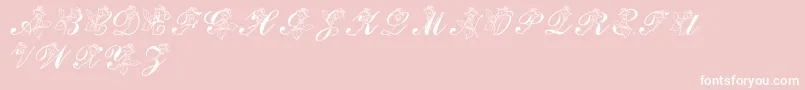 LmsRose-Schriftart – Weiße Schriften auf rosa Hintergrund