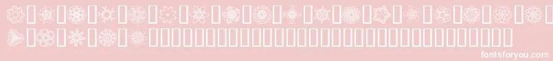 JiKaleidoscopeBats4 Font – White Fonts on Pink Background