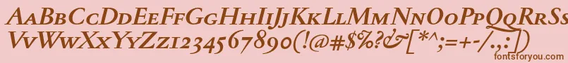 JannontextmedscBolditalic Font – Brown Fonts on Pink Background