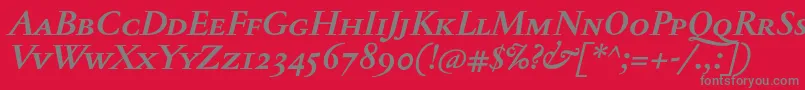 JannontextmedscBolditalic Font – Gray Fonts on Red Background