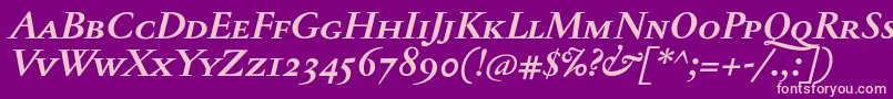 JannontextmedscBolditalic Font – Pink Fonts on Purple Background