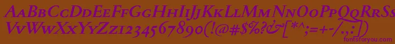 JannontextmedscBolditalic Font – Purple Fonts on Brown Background