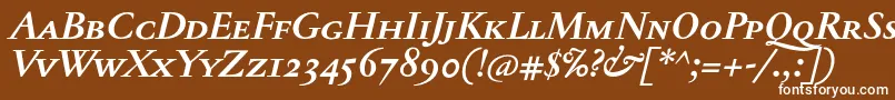 JannontextmedscBolditalic Font – White Fonts on Brown Background