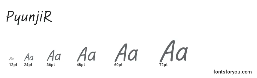 PyunjiR Font Sizes