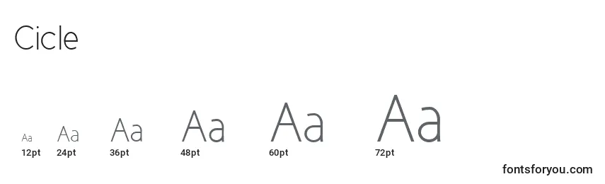 Cicle Font Sizes