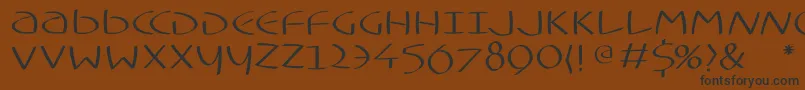 Typoasisuncialfs Font – Black Fonts on Brown Background