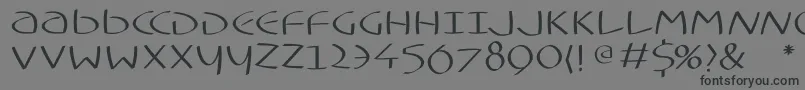 Typoasisuncialfs Font – Black Fonts on Gray Background