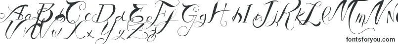 VtksAuthentic Font – Fonts for engraving