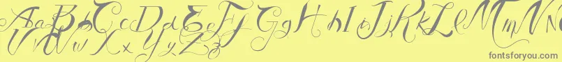 VtksAuthentic-Schriftart – Graue Schriften auf gelbem Hintergrund