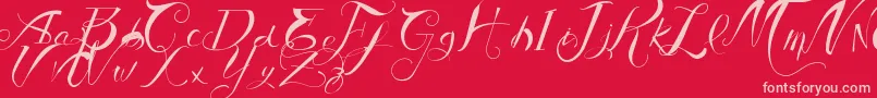 VtksAuthentic Font – Pink Fonts on Red Background