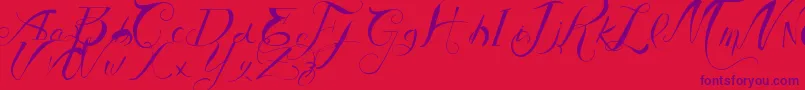 VtksAuthentic Font – Purple Fonts on Red Background